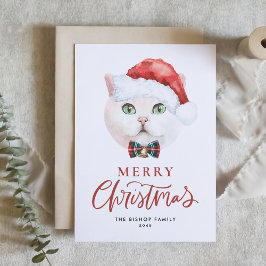 Tarjeta Festiva Cuidados Navidades británicos de gatos cortos