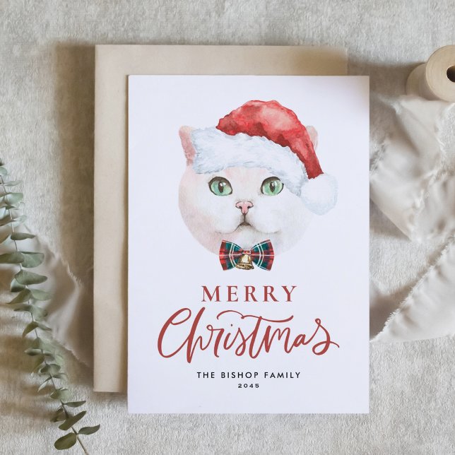 Tarjeta Festiva Cuidados Navidades británicos de gatos cortos (Subido por el creador)