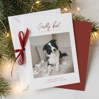 Tarjeta Festiva Culpable Pero Adorable Foto de Perro Divertido Nav