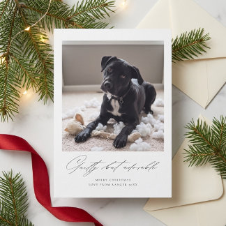 Tarjeta Festiva Culpable Pero Adorable | Foto Divertida de Perro e