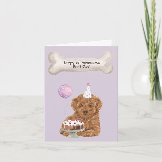 Tarjeta Festiva Cumpleaños de Cavapoo mezcla de caniche (Anverso)