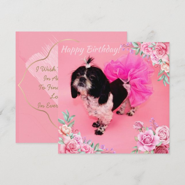 Tarjeta Festiva Cumpleaños de Shih Tzu (Anverso / Reverso)