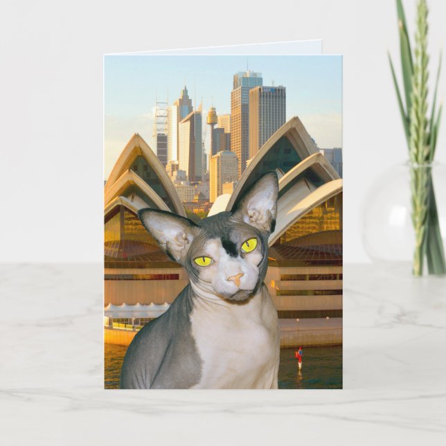 Tarjeta Festiva Cumpleaños del gato de Rex del gato de Australia (Anverso)