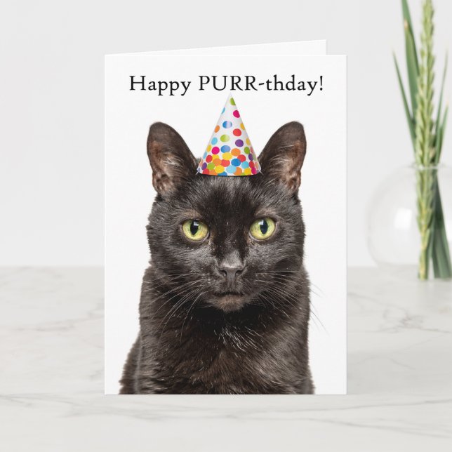 Tarjeta Festiva Cumpleaños feliz para cualquier gato con humor Gor (Anverso)