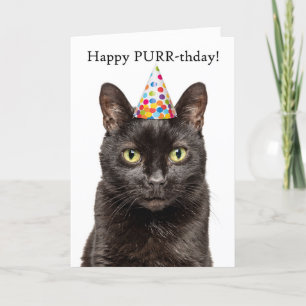 Tarjeta Festiva Cumpleaños feliz para cualquier gato con humor Gor