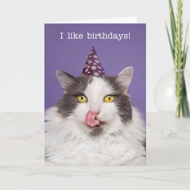 Tarjeta Festiva Cumpleaños feliz para cualquier gato gordo en Gorr (Anverso)