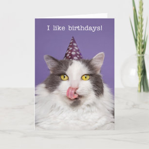 Tarjeta Festiva Cumpleaños feliz para cualquier gato gordo en Gorr