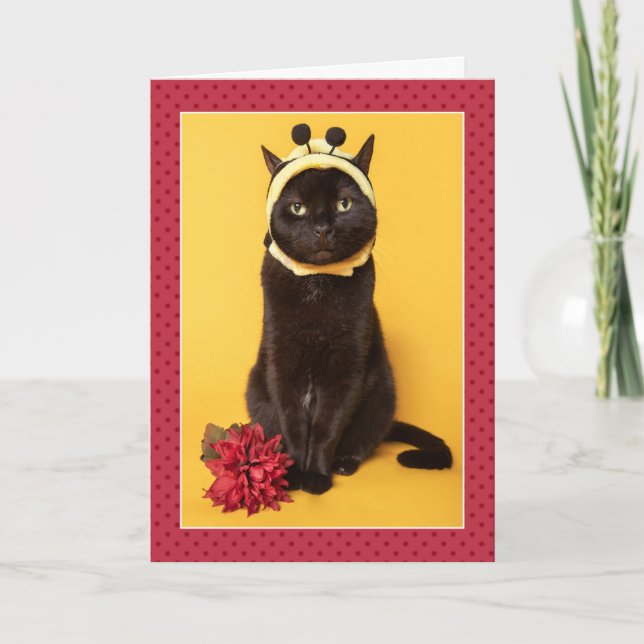 Tarjeta Festiva Cumpleaños feliz para cualquier gato gracioso con  (Anverso)
