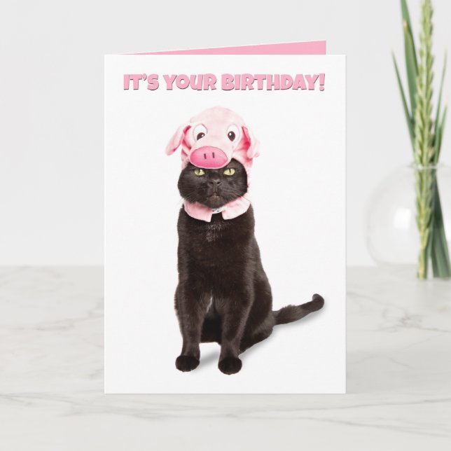 Tarjeta Festiva Cumpleaños feliz para cualquier gato gracioso en u (Anverso)