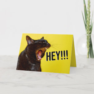 Tarjeta Festiva Cumpleaños Feliz Para Cualquiera Que Grite Humor D