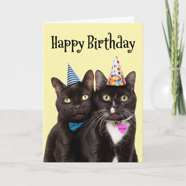 Tarjeta Festiva Cumpleaños feliz para cualquiera que tenga gatos e (Anverso)
