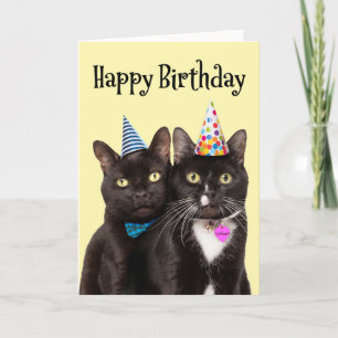 Tarjeta Festiva Cumpleaños feliz para todos los gatos en Gorras Fi