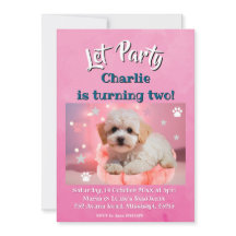 Cumpleaños Perro Vamos a la Fiesta 