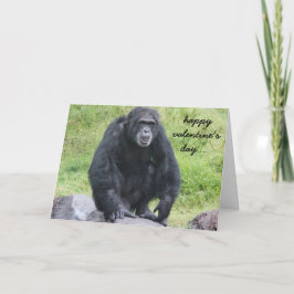 Tarjeta Festiva Curioso Chimpanzee Valentine, ¡¿quiere un mono?!