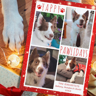 Tarjeta Festiva Curioso perro 4 Collage de fotos YAPPY PAWLIDAYS R
