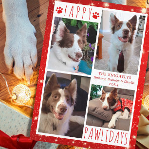 Tarjeta Festiva Curioso perro 4 Collage de fotos YAPPY PAWLIDAYS R