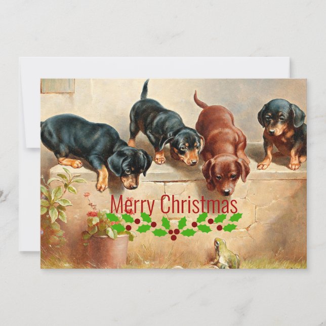 Tarjeta Festiva Curiosos cachorros de Dachshund y una rana, Navida (Anverso)