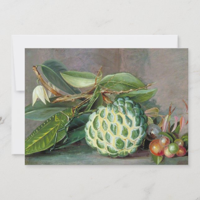 Tarjeta Festiva Custard Apple - Marianne North (Anverso)