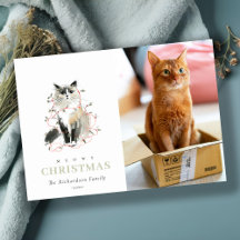 Cuta foto acuarela Meowy Navidades enciende gato