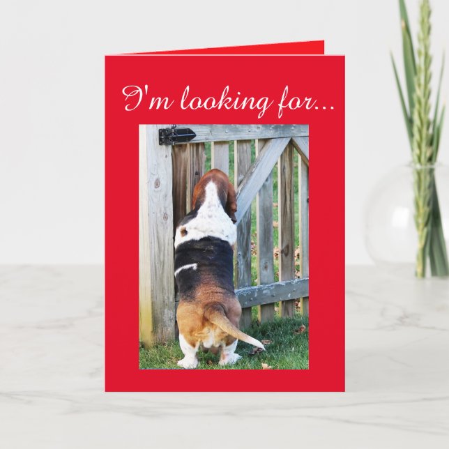 Tarjeta Festiva Cute Basset Hound busca un San Valentín (Anverso)