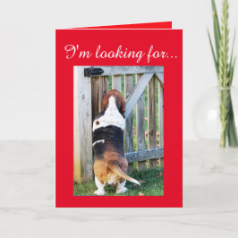 Tarjeta Festiva Cute Basset Hound busca un San Valentín
