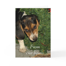 Cute Beagle Puppy Snoopy - Navidades