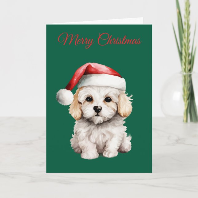 Tarjeta Festiva Cute Bichon Frise at Christmas (Anverso)
