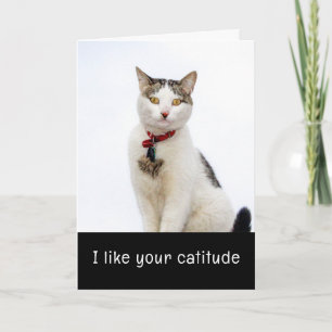 Tarjeta Festiva Cute Cat Valenitne's Day Card