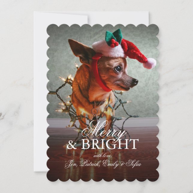 Tarjeta Festiva Cute Chihuahua Con Un Sombrero Santa (Anverso)