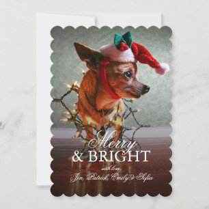 Tarjeta Festiva Cute Chihuahua Con Un Sombrero Santa