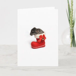 Tarjeta Festiva Cute Chinchilla in Christmas Stocking