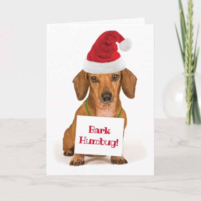Tarjeta Festiva Cute Dachshund con Humbug de Bark de Santa Hat (Anverso)