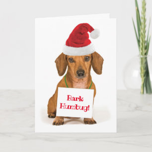 Tarjeta Festiva Cute Dachshund con Humbug de Bark de Santa Hat