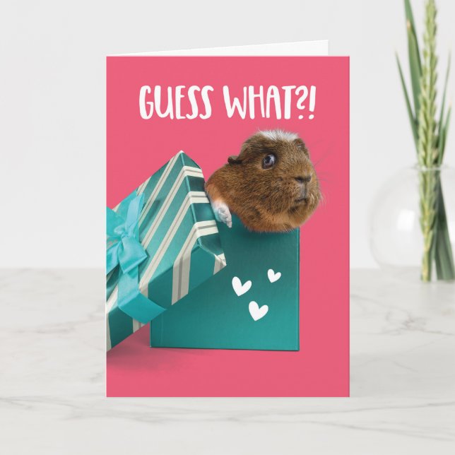 Tarjeta Festiva Cute Día de San Valentín Guinea Cerdo presente (Anverso)