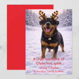 Tarjeta Festiva Cute Dog Christmas Sweet Quote | Holiday Card
