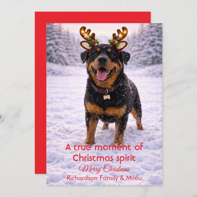 Tarjeta Festiva Cute Dog Christmas Sweet Quote | Holiday Card (Anverso / Reverso)