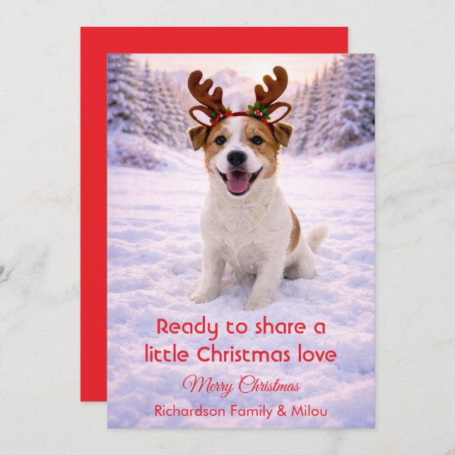 Tarjeta Festiva Cute Dog with Christmas Tender Quote  Holiday Card (Anverso / Reverso)