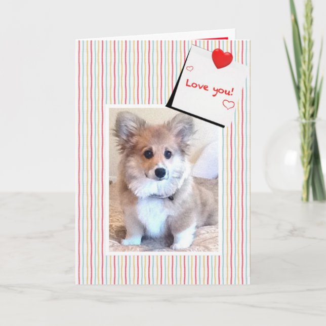 Tarjeta Festiva Cute Fluffy Corgi Valentine (Anverso)