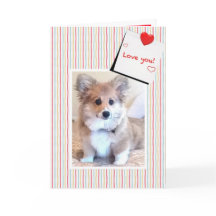 Cute Fluffy Corgi Valentine