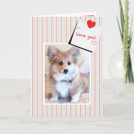Tarjeta Festiva Cute Fluffy Corgi Valentine