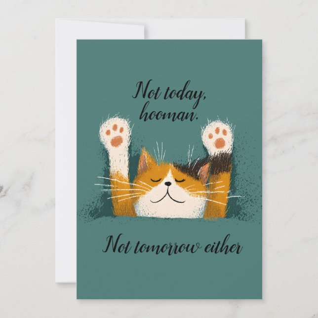 Tarjeta Festiva Cute Funny Cat Nap (Anverso)