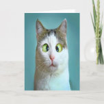 Tarjeta Festiva Cute Funny Crazy Cat Birday Card<br><div class="desc">Cute Graciosa tarjeta de cumpleaños de un gato loco por la tarjeta de felicitación THEORY OF HUMOR.</div>