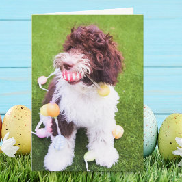 Tarjeta Festiva Cute Labradoodle Easter Egg Hung Card