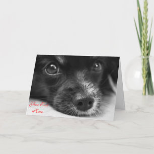 Tarjeta Festiva Cute Puppy Face Personalizado San Valentín