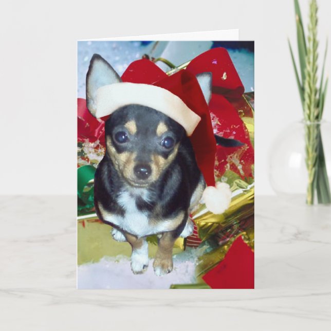 Tarjeta Festiva Cute Santa Chihuahua AngelPearlGirl (Anverso)