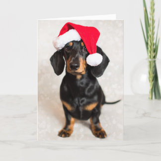 Tarjeta Festiva Cute Sparkle Dachshund Puppy usando Navidades Gorr