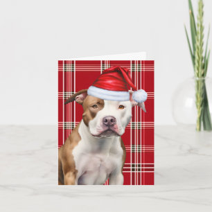 Tarjeta Festiva Cute Staffordshire Terrier Santa Dog Red Plaid