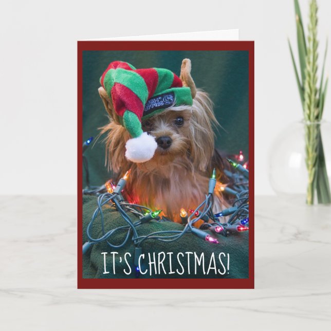 Tarjeta Festiva Cute Yorkie Con Gorra De Elf (Anverso)