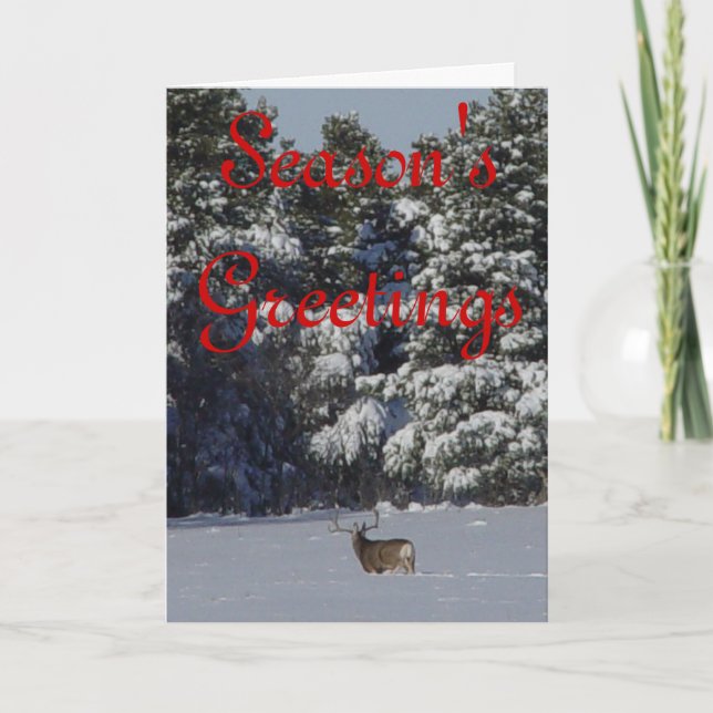Tarjeta Festiva D17 Mule Deer Buck in the Snow (Anverso)