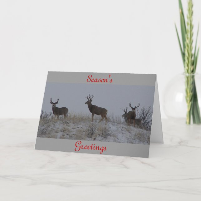 Tarjeta Festiva D21 Mule Deer Bucks (Anverso)